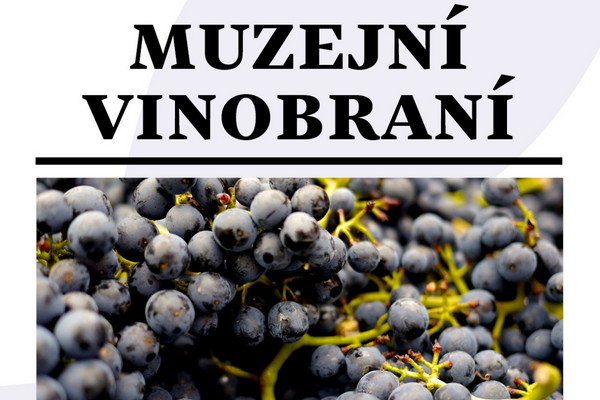 Po dvouleté pauze pořádá muzeum oblíbené Muzejní vinobraní 